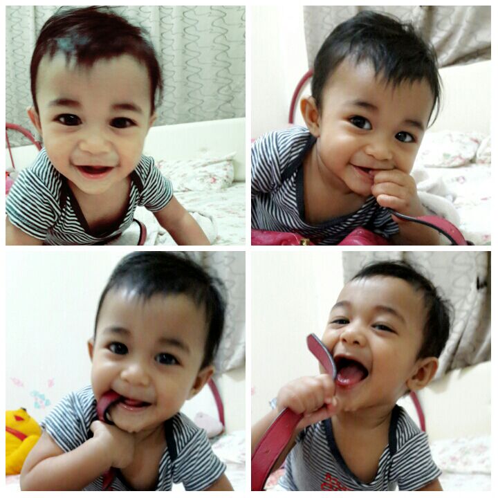 Alina Alias, Johor